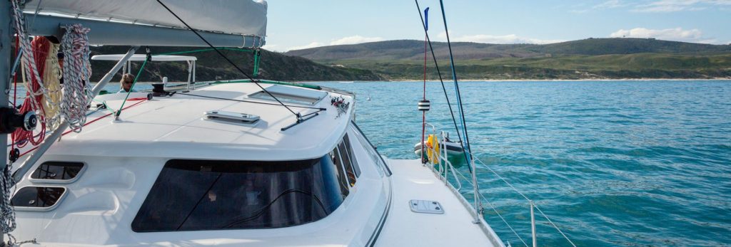 A catamaran navigating the waters