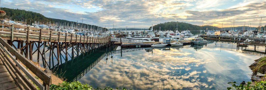 Sailboats gathered at a harbour