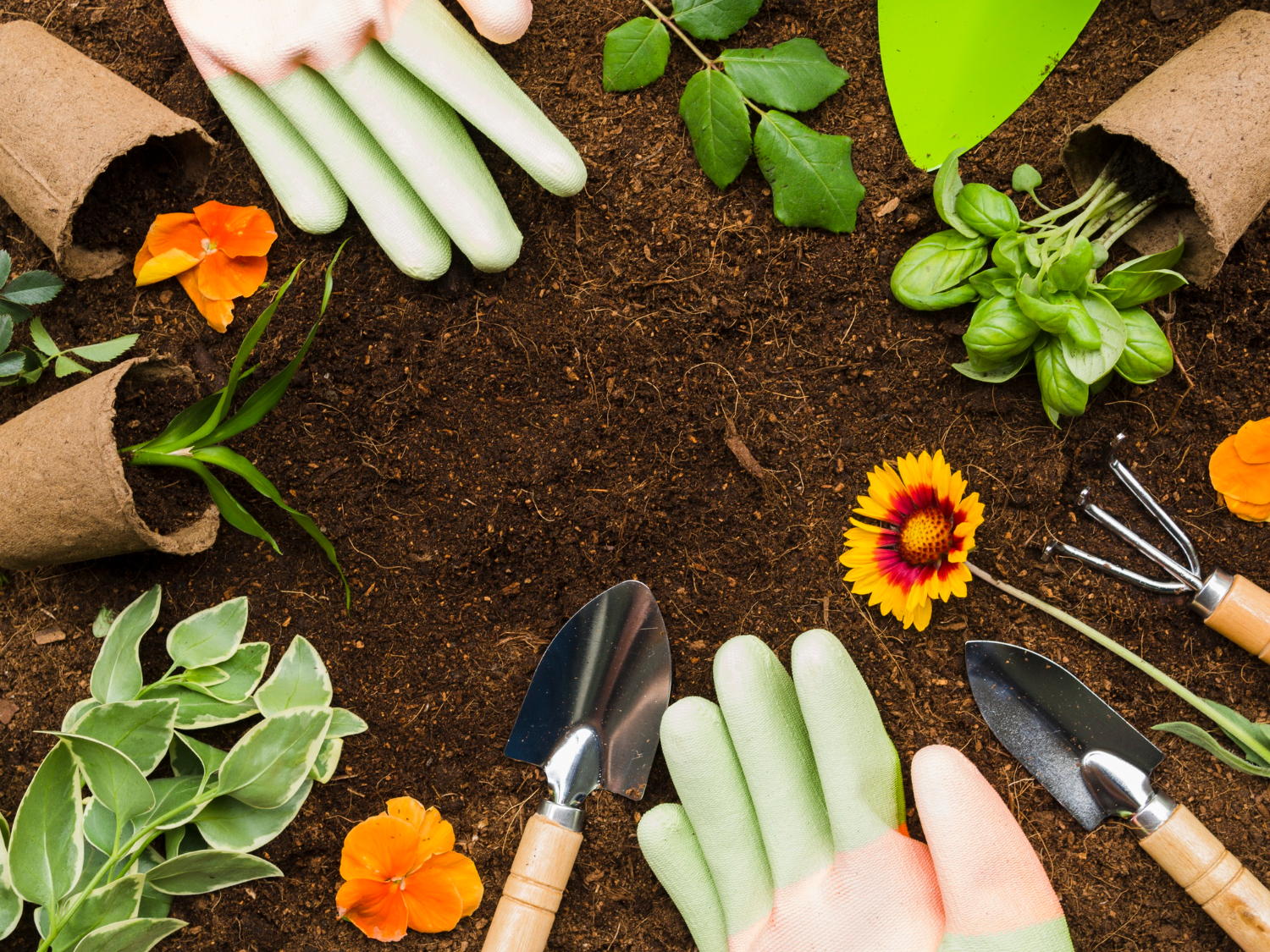 Gardening tools, soil, and fresh plants arranged overhead, representing onboard gardening as one of the hobbies of the catamaran community.