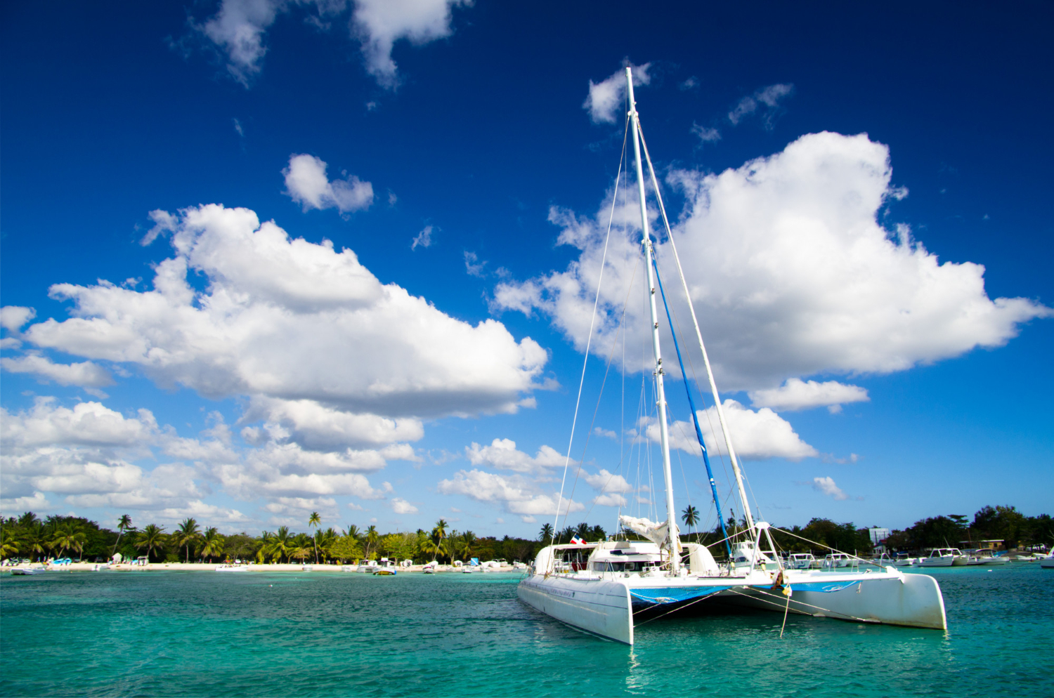 View Of A Catamaran