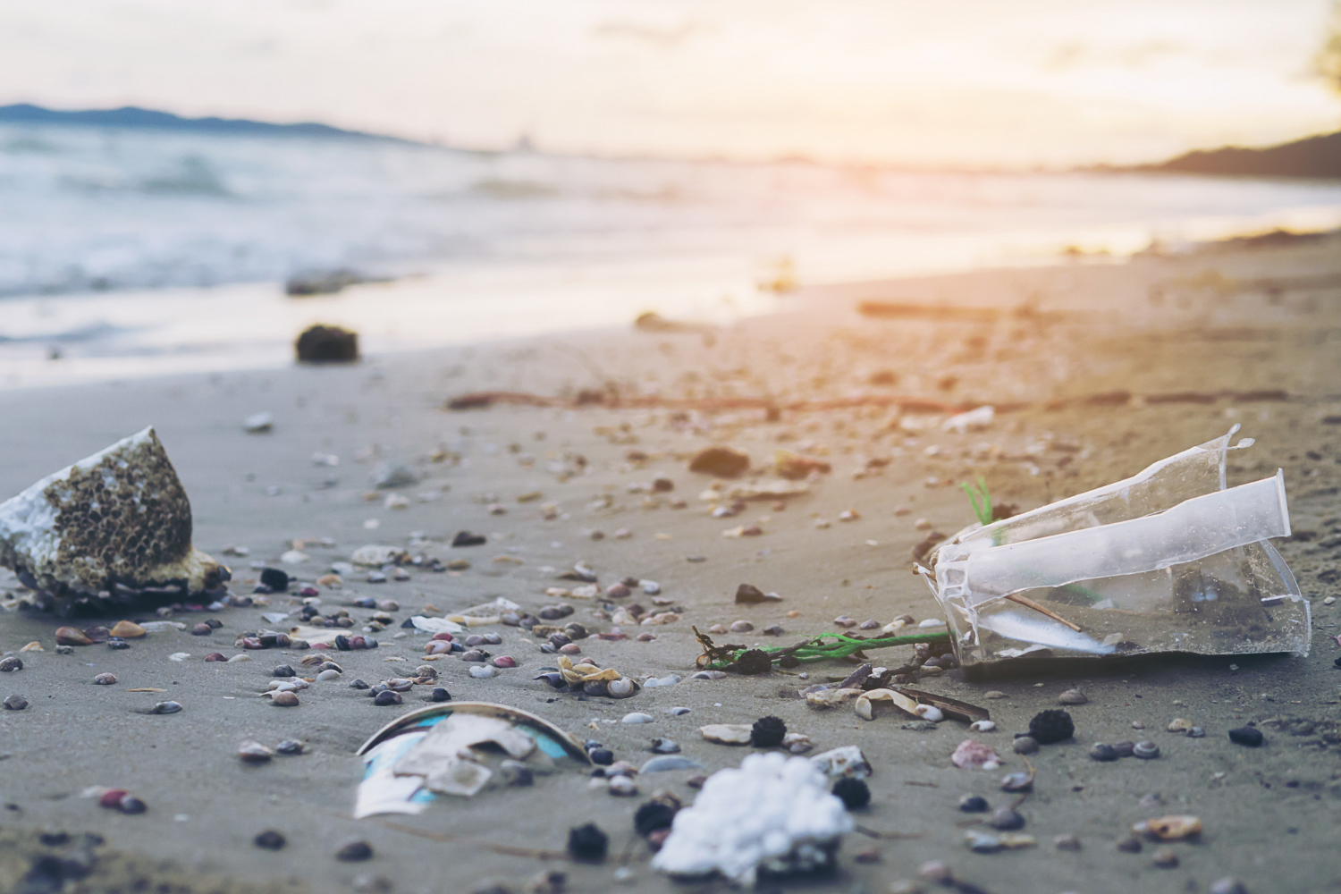 View Of Ocean Plastic